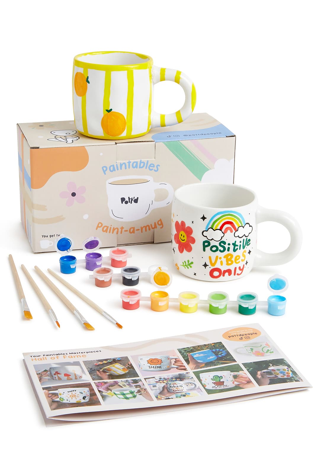 Pott'd Paint-a-Mug x2
